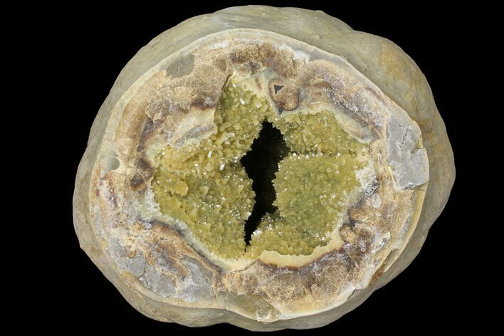 Yellow Crystal Filled Septarian Geode ( lbs) - Utah #98394